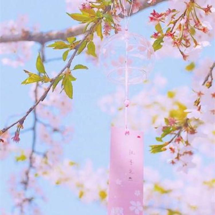 松尾谕（饰 未知角色） - 绝母1一6全集动漫在线播放15 - 客户端视频